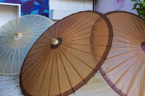 數字化升級，共創美好未來——紙世界網的紙制品銷售新篇章